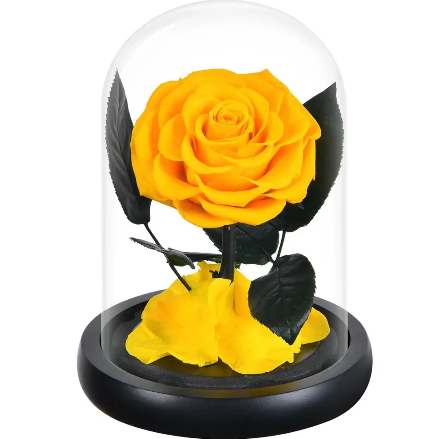 Trandafir criogenat în cupolă de sticlă galben