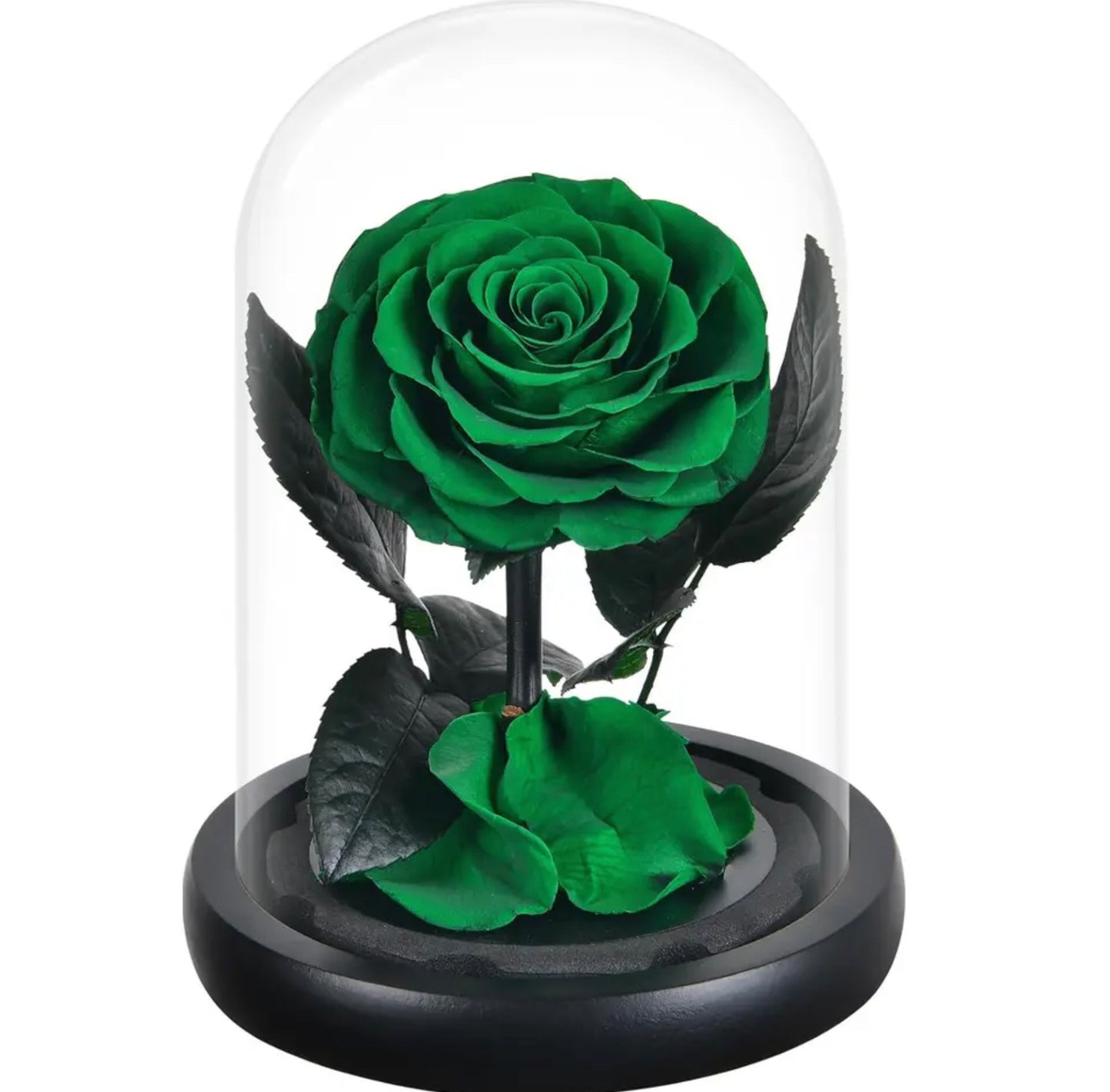 Trandafir criogenat în cupolă de sticlă verde