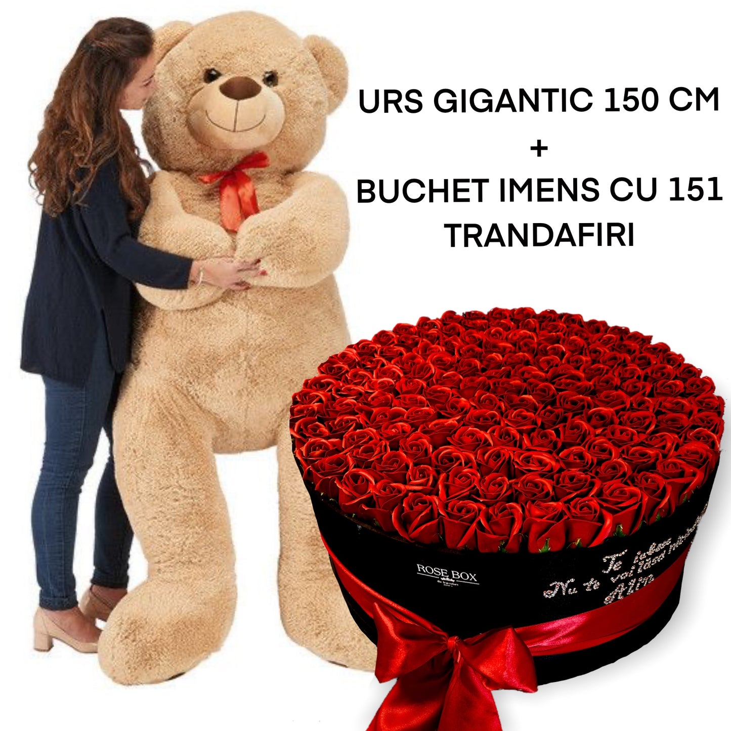 Urs pluș crem imens 150 cm + buchet imens negru 151 trandafiri roșii