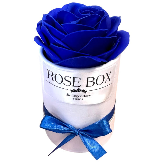 Trandafir mare albastru închis în cutie albă