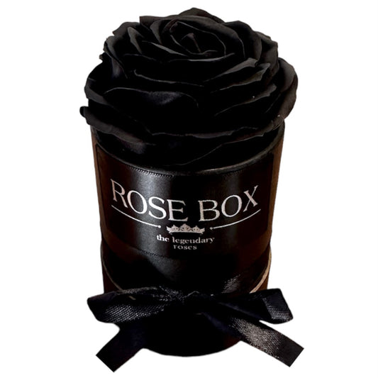 Trandafir mare negru în cutie neagră
