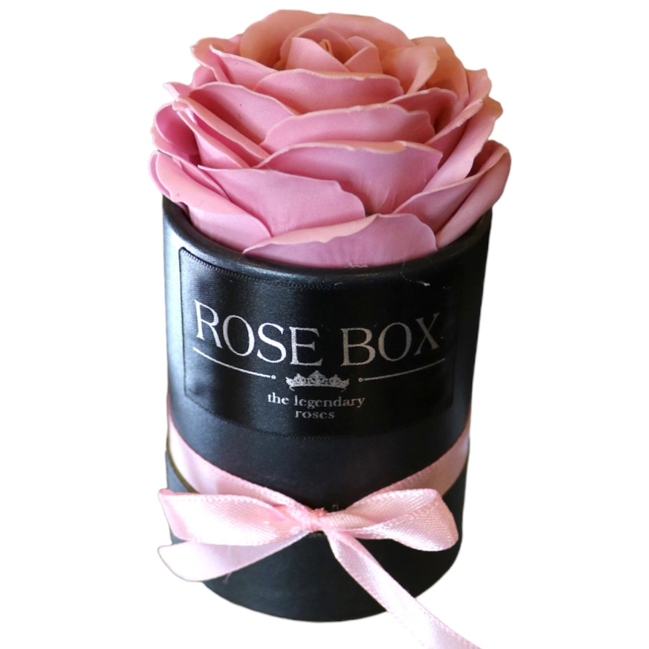 Trandafir mare roz în cutie neagră